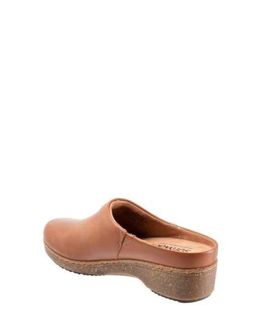 Softwalk® Brown Arvada Mule