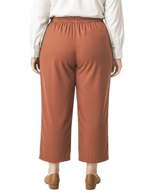 Standards & Practices Multicolor Crop Pants