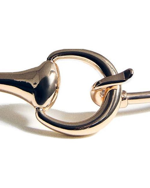 Mango Metallic Rigid Choker Collar