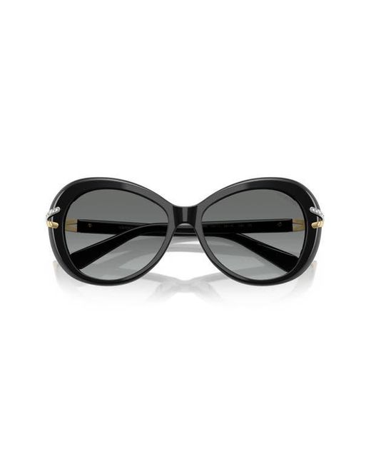 Swarovski Gray 56Mm Butterfly Sunglasses for men