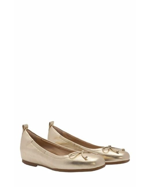 ABEO Natural Cadence Bow Ballet Flat