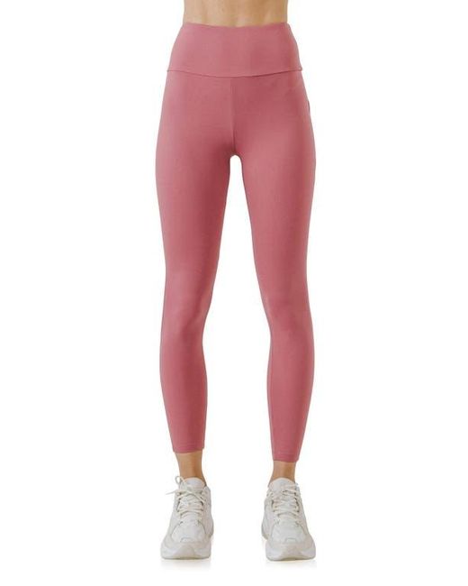 Grey Lab Red Leggings
