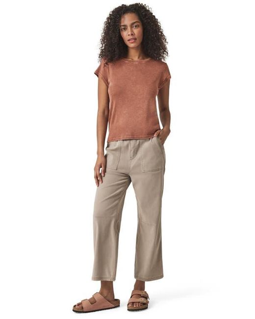 Splendid Brown Faye Crewneck Tee