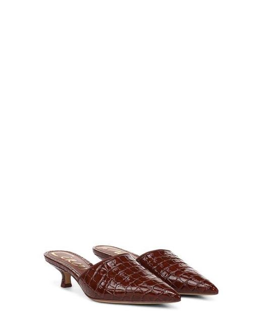 Circus by Sam Edelman Brown Gemma Mule