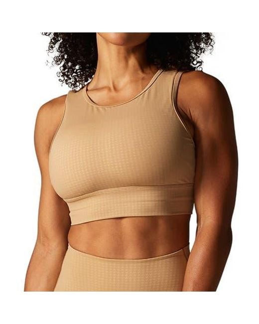 Tavi Brown Agility Bra