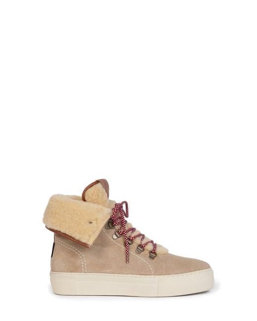 Penelope Chilvers Multicolor Phoenix Wool Bootie