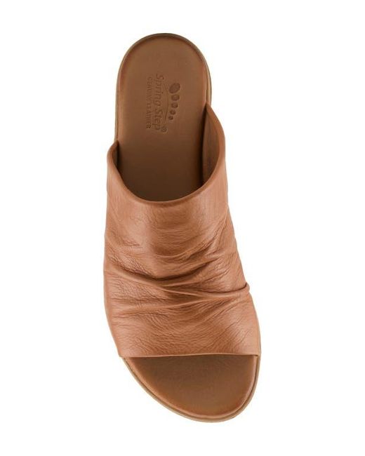 Spring Step Brown Jaleel Slide Sandal
