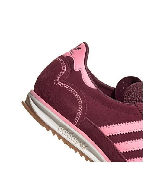 Adidas Purple Sl 72 Sneaker