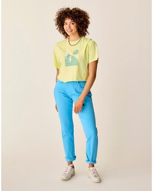Carve Designs Blue Carson Jean