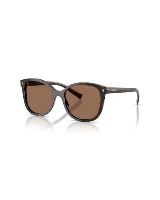 Prada Brown 53Mm Gradient Square Sunglasses
