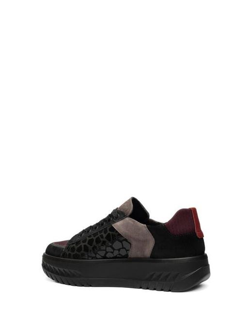 Ara Black Mamba Platform Sneaker
