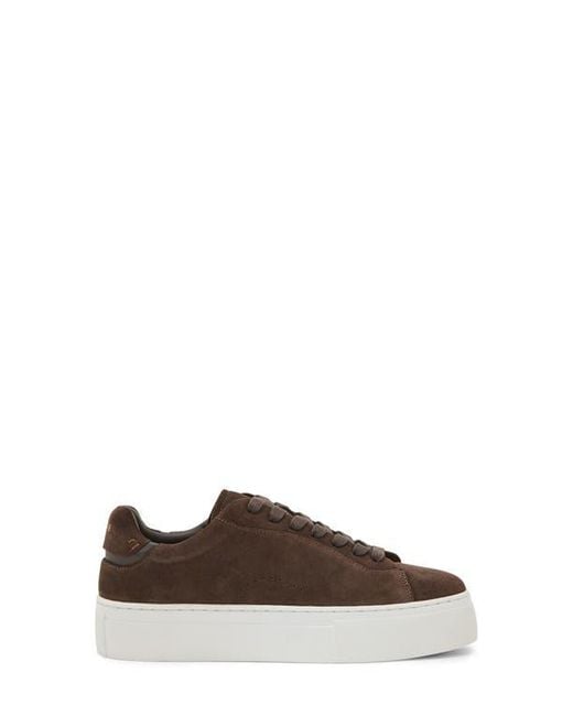 Reiss Brown Francesca Platform Sneaker