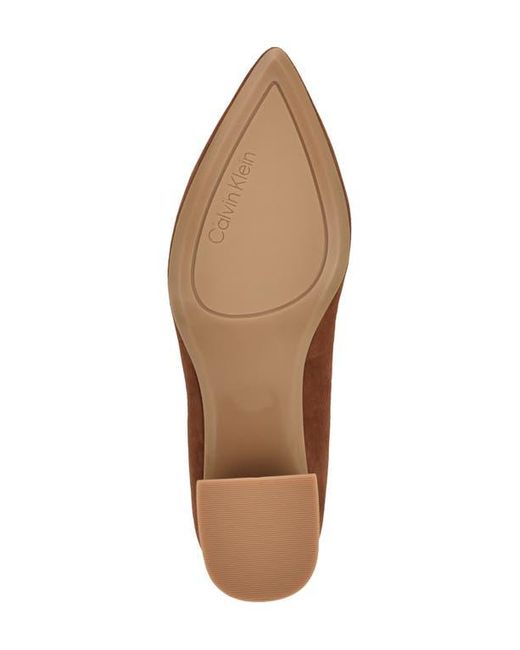 Calvin Klein Brown Lenott Pointed Toe Pump