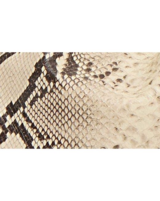 Mansur Gavriel Multicolor Mini Cloud Snakeskin Embossed Leather Clutch