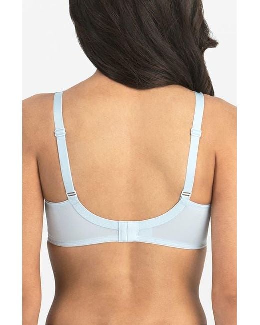 Dominique Intimates Blue Jillian Wire-Free Seamless Minimizer Bra