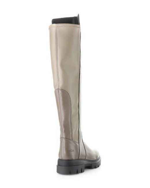 Bos. & Co. Brown Fifth Waterproof Knee High Boot