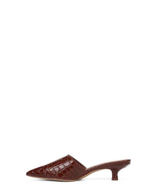 Circus by Sam Edelman Brown Gemma Mule