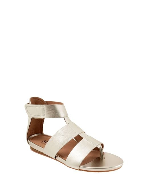 Softwalk® Natural Cabo Gladiator Sandal