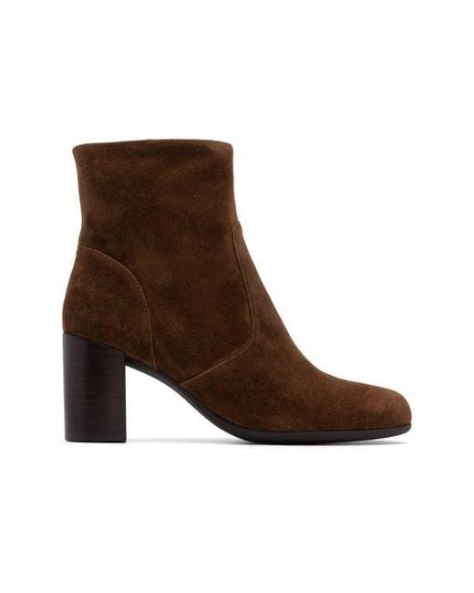 ABEO Brown Tempo Ankle Boot