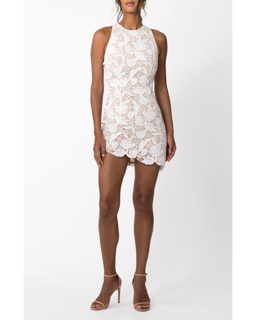 SAU LEE White Silba Floral Lace Cocktail Dress