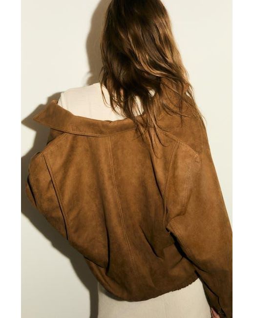 H&M Brown Napped Jacket