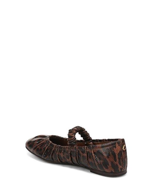 Circus by Sam Edelman Brown Blythe Flat