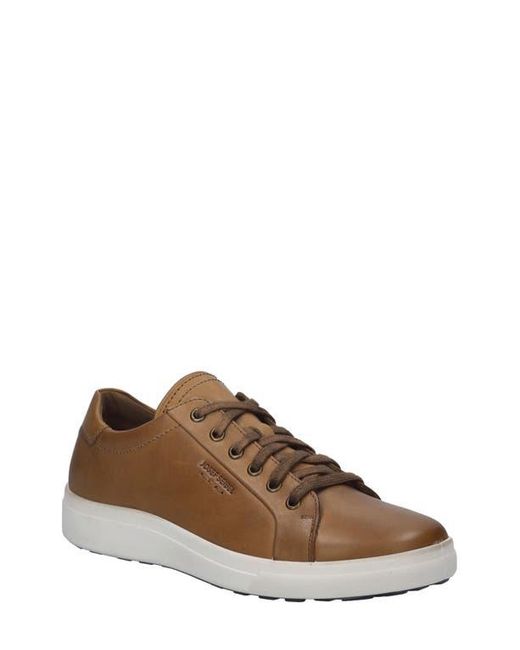 Josef Seibel Brown Maddox 05 Sneaker for men