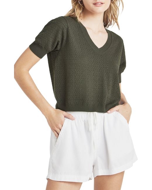 Splendid Green Sadie Open Stitch Short Sleeve Sweater
