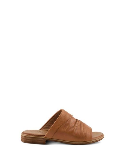Spring Step Brown Jaleel Slide Sandal