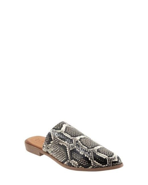 BUENO Multicolor Bambi Pointed Toe Mule