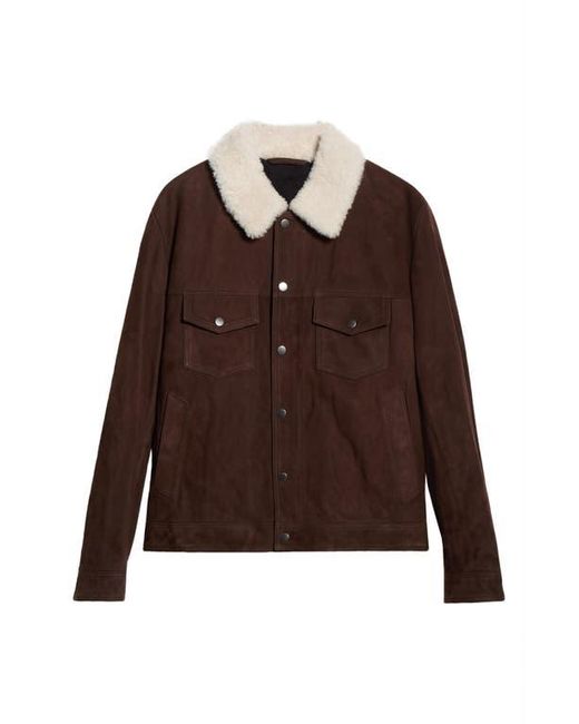 Boss Brown X Beckham Mordy Suede & Genuine Shearling Jacket for men