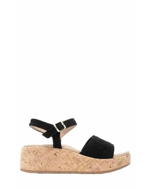 ABEO Black Solstice Buckle Sandal