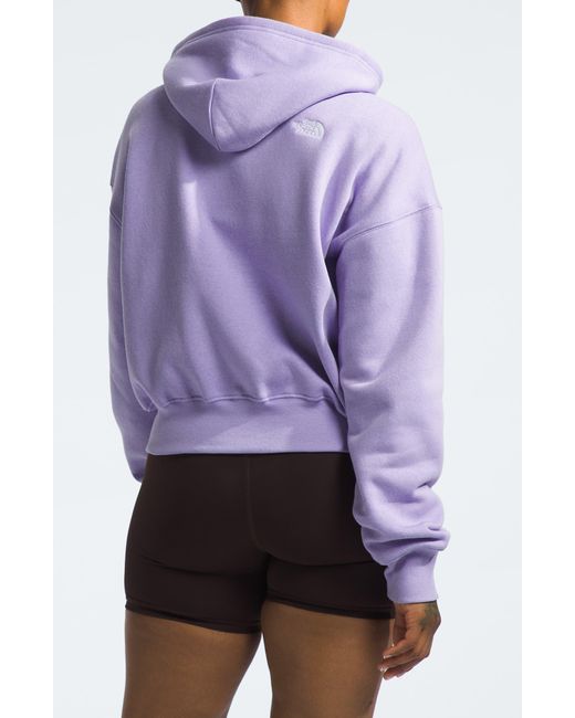 The North Face Purple Evolution Full-zip Hoodie