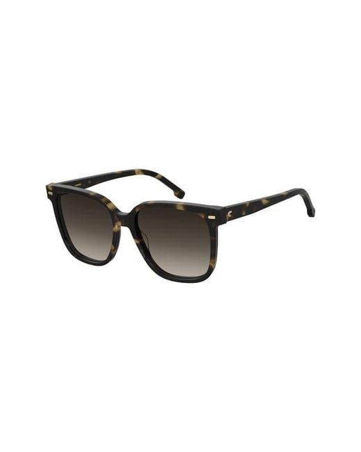 Carrera Black 55Mm Rectangular Sunglasses