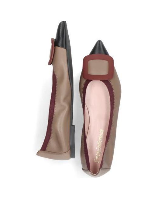 Pretty Ballerinas Brown Pointed Toe Elasticated Ballet Flat