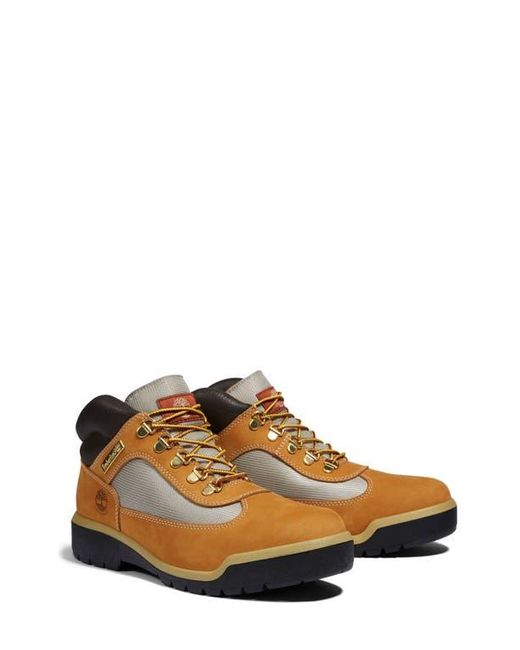 Timberland Brown Field Waterproof Boot for men