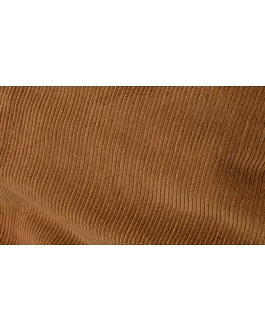 Sanctuary Brown Briar Stretch Cotton Corduroy Miniskirt