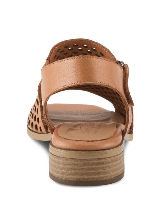 Spring Step Brown Gosset Sandal