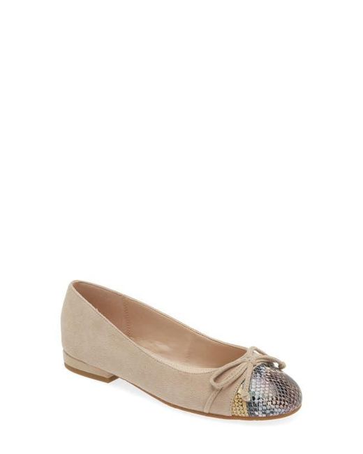 Pelle Moda Natural Saida Ballet Flat