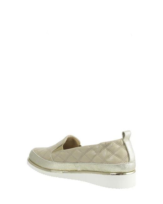 ron white nell slip on sneaker