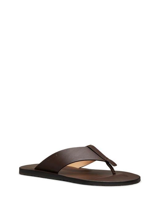 Stuart Weitzman Brown Bastian Flip Flop for men