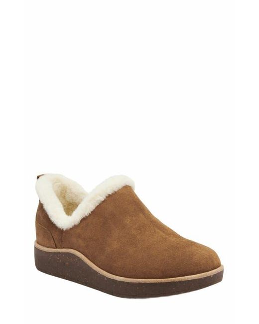 ABEO Brown Pioneer Bootie