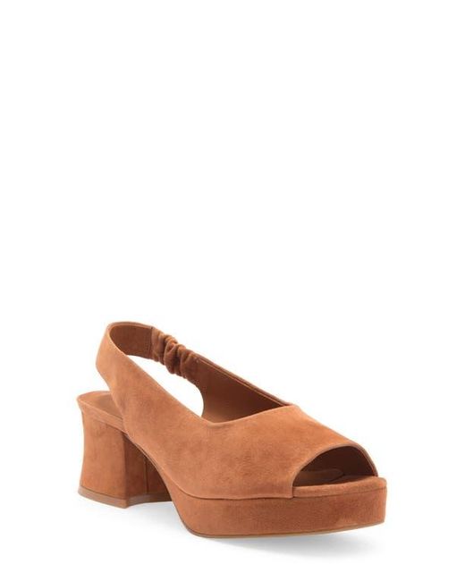 Jeffrey Campbell Brown Extendo Slingback Platform Sandal
