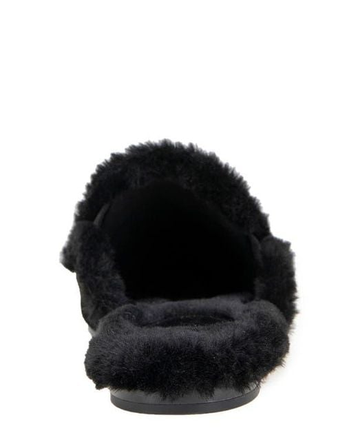 Splendid Black Liza Pointed Toe Mule