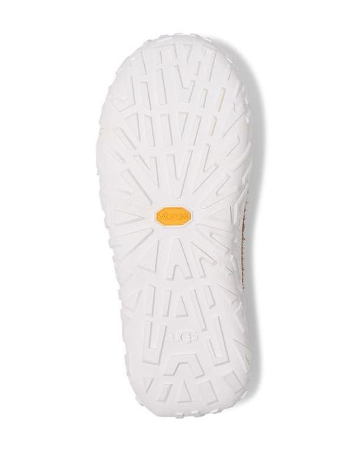 Ugg Brown Ascot Wrap Tech Slipper for men