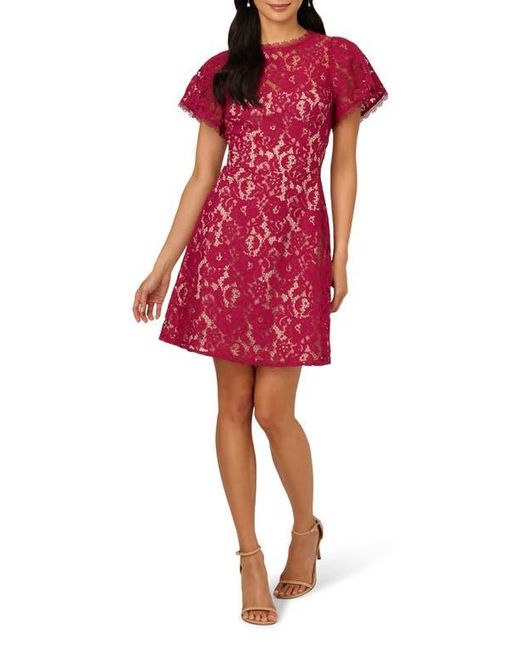 adrianna papell red lace dress Adrianna Papell, Deep Red, Lace, Dress, 8