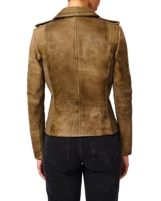 Bernardo Brown Suede Moto Jacket