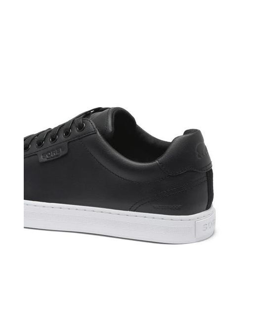 Sorel Black Cyprus Wp Sneaker for men