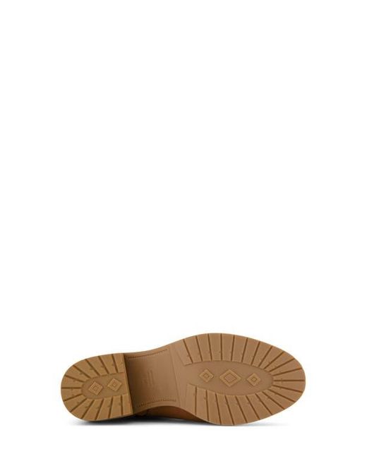 TOMS Brown Hailey Buckle Bootie