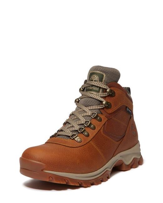 Timberland Brown Mt. Maddsen Waterproof Hiking Boot for men